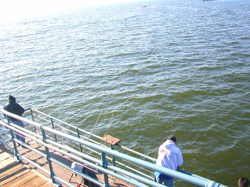 fishin' off the samo pier