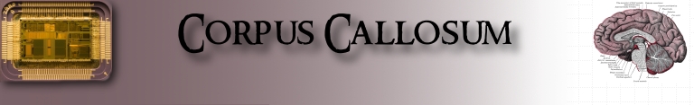 The Corpus Callosum Banner