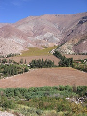Elqui Valley landscape