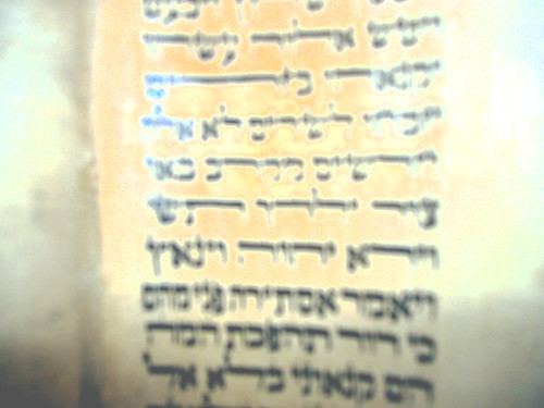 Soferet's Psychedelic Sefer Torah
