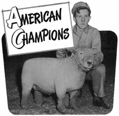 American Champions