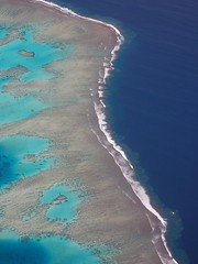 Flying over the tropical reefs