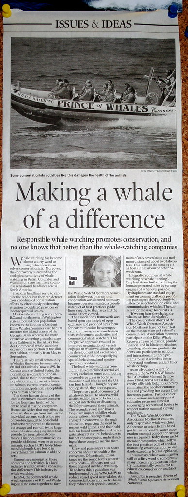 Making a whale of a difference