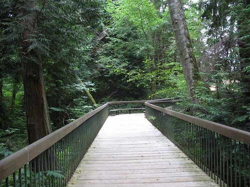 2 woods bridge 3