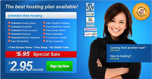 Cheap Unlimited Web Hosting with Flux Services