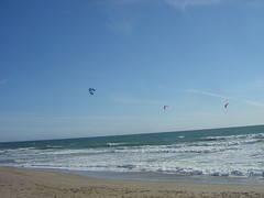 Scotts Creek Beach - Kite Surfers