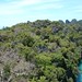 Emerald Lake - top viewpoint 12