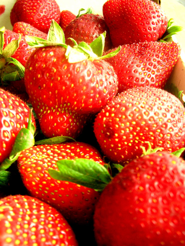 ventura strawberries