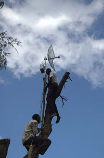 Wi-Fi antenna installation on avacado tree, Uganda