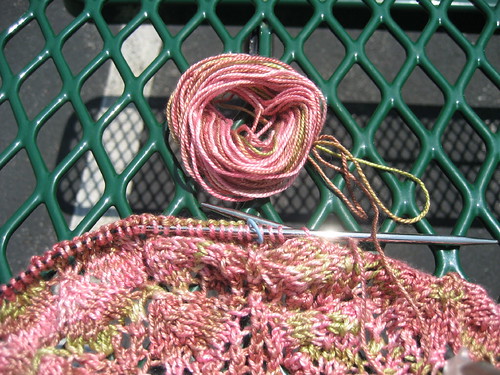 FBS - not much yarn left...