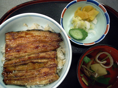 うな丼（bowl of rice topped with broiled eel）