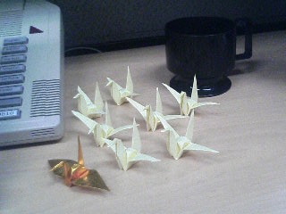 Cranes in the office