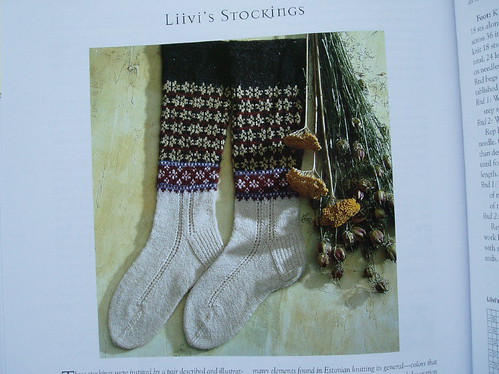 fk liivi's stockings
