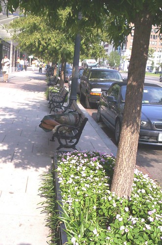 Homeless person on a bench, Downtown on K Street