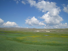 Typical Mongolian scenery