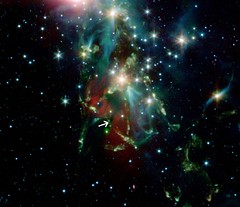 NGC 1333 d