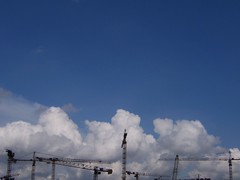 where cranes collect the sky.