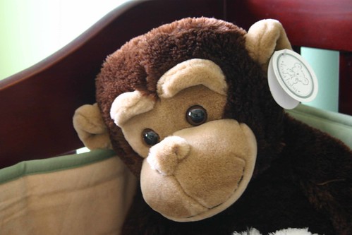 Monkey in crib