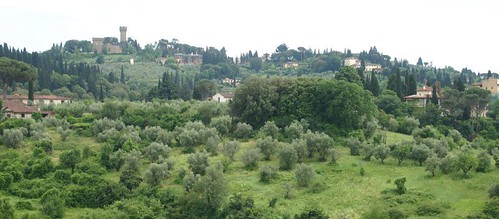 pitti-countryside-view