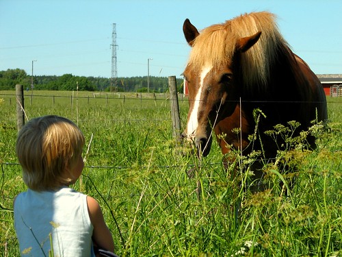 Pieni poika ja iso hevonen