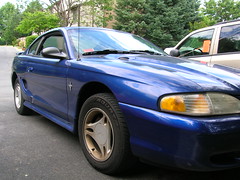 My Mustang 3