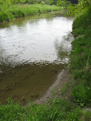 Bowmanville Creek west bank