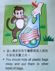 Monkey Advice