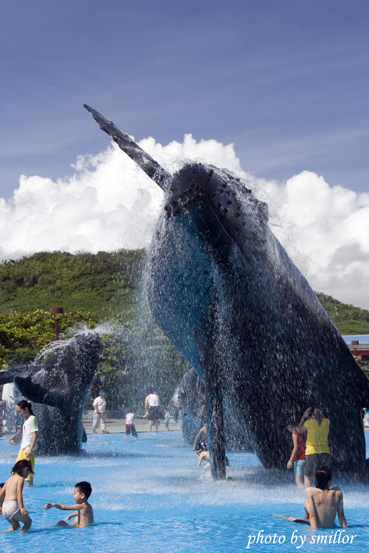 海生館園內露天鯨豚造型水池的親子嬉水人潮
