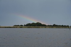 Rainbow, Norfolk Broads