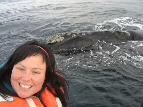 Me and the whale
