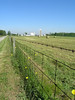 Farm near Fountain City, Indiana