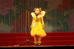 butterfly storyteller