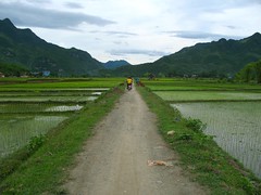 Arriving in Mai Chau