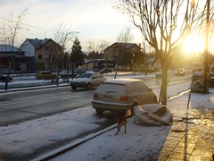 Nieve calle