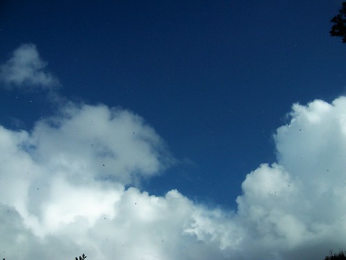 Clouds through a rainy windscreen
