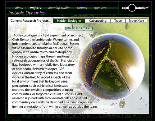 Exploratorium Invisible Dynamics WWW Site