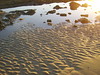 Sand ripples at dawn