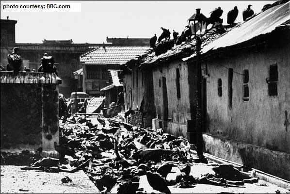 Aftermath of Indian Partition and ensuing mass migration