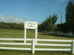 Kawailoa Ranch