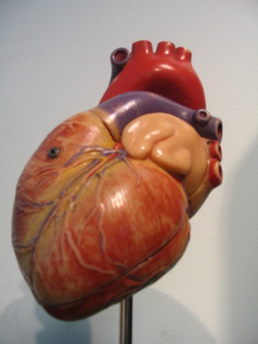 Fake Human Heart