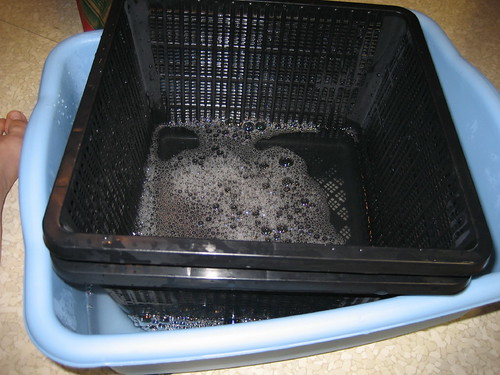 Washing cormo - nested warter baskets