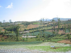 Pemandangan Desa Sarimukti