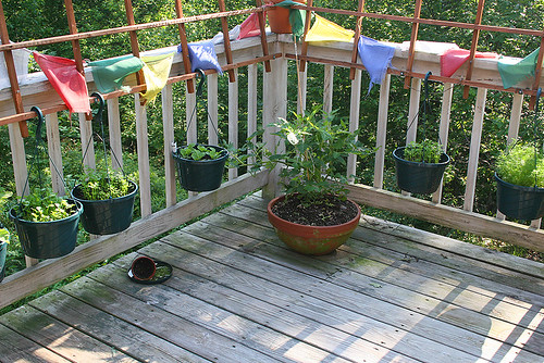 Deck Garden (7-1-06) - 1 -