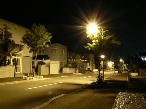 街路樹と街灯