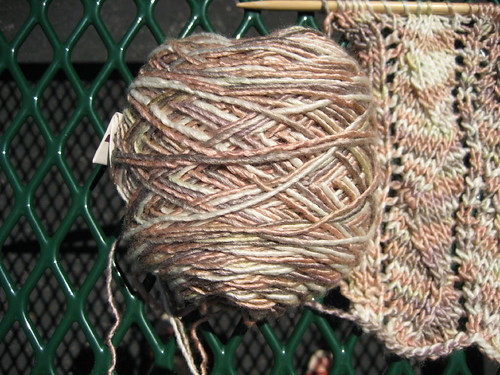 Lorna's Laces Lion and Lamb