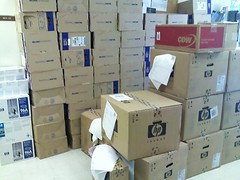 Swimming in boxes