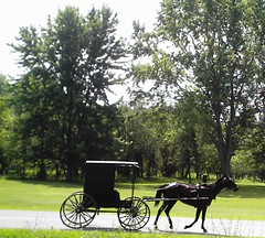 Amish Buggy Heading From Randall, NY To Currytown.