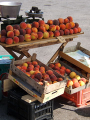 Bulgarian Peaches