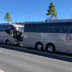 Bayes Coaches street side