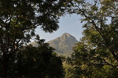 the vision of Arunachala